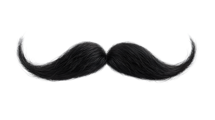 Professional Black Mustache Isolated on White Background PNG Image