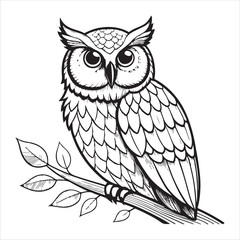 Owl Vector 
