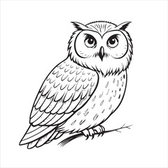 Owl Vector 