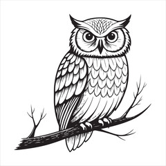 Owl Vector 