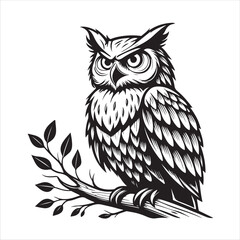 Owl Vector 