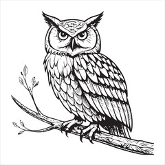 Owl Vector 