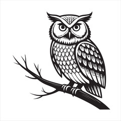 Owl Vector 