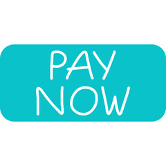 Pay Now Icon