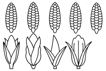 Corn line art vintage style graphic for posters