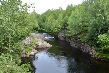 Serene River Flowing Through Lush Green Forest Landscape