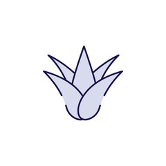 Aloe Vera icon design with white background stock illustration
