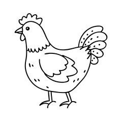 chicken hen icon, chicken hen vector illustration-simple illustration of chicken hen, perfect for chicken hen logos and icons