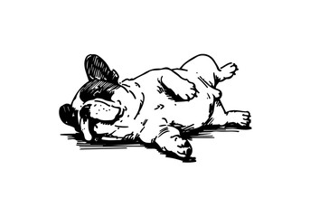 Obraz premium French Bulldog Hand Drawn Illustration Sketch Vector Isolated for Graphic Resource