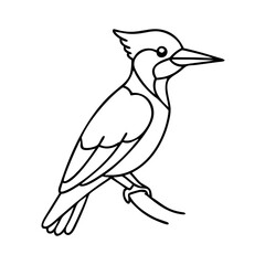 woodpecker icon, woodpecker vector illustration-simple illustration of woodpecker, perfect for woodpecker logos and icons