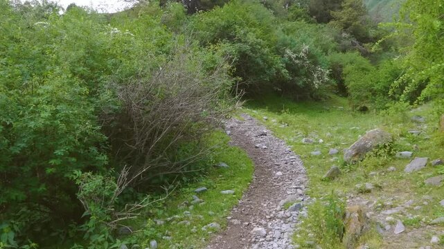 Footage depicts a trail in Ala Archa National Park, Kyrgyzstan, showcasing the park's natural beauty and serene environment.