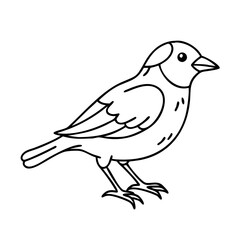 sparrow icon, sparrow vector illustration-simple illustration of sparrow, perfect for sparrow logos and icons