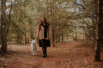 Fototapeta premium A woman in a beige sweater and black scarf walks with her white dog through a pine forest path, wearing a polka dot skirt and boots, enjoying a peaceful outdoor moment together.