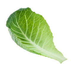 Fresh green cabbage leaf hovering on transparent backdrop