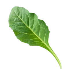 Fresh collard green leaf isolated on transparent background with clipping path included