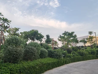 Gordijnen Landscaping Green And Lush Landscaping Area With small plants, Trees and Flowers Plants. Nature landscapes gardens attractive flowers, roses View  © Usama