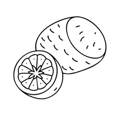 radish slice icon, radish slice vector illustration-simple illustration of radish slice, perfect for radish slice logos and icons