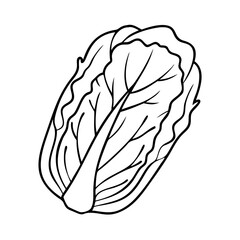 Fototapeta premium napa cabbage icon, napa cabbage vector illustration-simple illustration of napa cabbage, perfect for napa cabbage logos and icons
