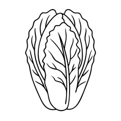napa cabbage icon, napa cabbage vector illustration-simple illustration of napa cabbage, perfect for napa cabbage logos and icons