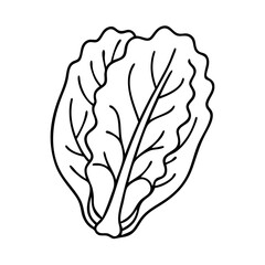romaine lettuce icon, romaine lettuce vector illustration-simple illustration of romaine lettuce, perfect for romaine lettuce logos and icons