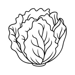 iceberg lettuce icon, iceberg lettuce vector illustration-simple illustration of iceberg lettuce, perfect for iceberg lettuce logos and icons