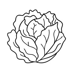 iceberg lettuce icon, iceberg lettuce vector illustration-simple illustration of iceberg lettuce, perfect for iceberg lettuce logos and icons