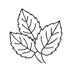 mint leaves icon, mint leaves vector illustration-simple illustration of mint leaves, perfect for mint leaves logos and icons