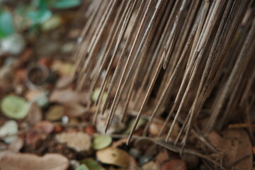 close up of a tree trunk