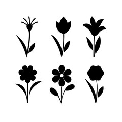 Flower icons set isolated on transparent background. Silhouettes spring flower icon set. Garden plants illustration sign collection. Beautiful symbol.
