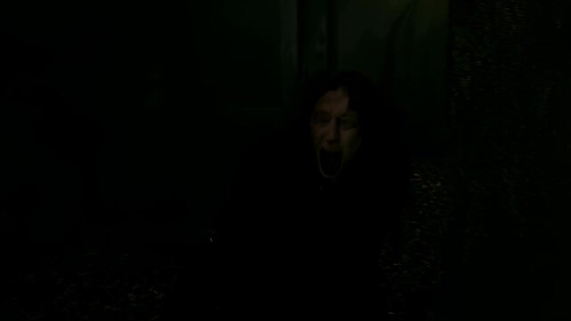 Screamer in dark forest: terrifying night horror jump scare encounter