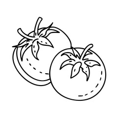 cherry tomato icon, cherry tomato vector illustration-simple illustration of cherry tomato, perfect for cherry tomato logos and icons
