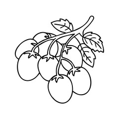 grape tomato icon, grape tomato vector illustration-simple illustration of grape tomato, perfect for grape tomato logos and icons