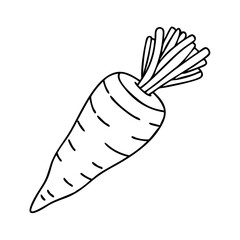 parsnip icon, parsnip vector illustration-simple illustration of parsnip, perfect for parsnip logos and icons