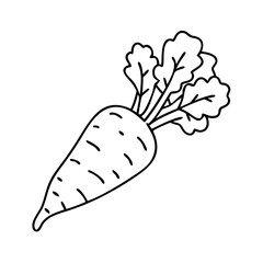 parsnip icon, parsnip vector illustration-simple illustration of parsnip, perfect for parsnip logos and icons
