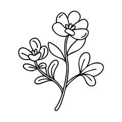 purslane icon, purslane vector illustration-simple illustration of purslane, perfect for purslane logos and icons