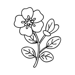 Fototapeta premium purslane icon, purslane vector illustration-simple illustration of purslane, perfect for purslane logos and icons