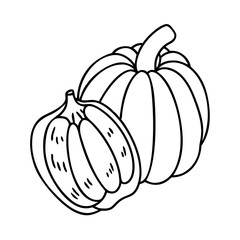 acorn squash icon, acorn squash vector illustration-simple illustration of acorn squash, perfect for acorn squash logos and icons