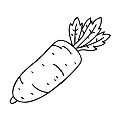 daikon radish icon, daikon radish vector illustration-simple illustration of daikon radish, perfect for daikon radish logos and icons
