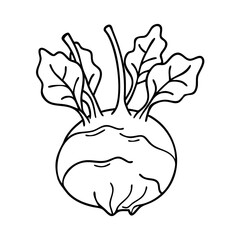 kohlrabi icon, kohlrabi vector illustration-simple illustration of kohlrabi, perfect for kohlrabi logos and icons