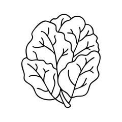 collard greens icon, collard greens vector illustration-simple illustration of collard greens, perfect for collard greens logos and icons