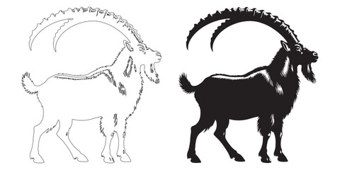 Wild ibex silhouette vector – elegant mountain goat artwork perfect for nature-inspired brands – ibex silhouette – ibex vector – ibex illustration – ibex outline – ibex icon – ibex line art

