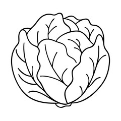 cabbage icon, cabbage vector illustration-simple illustration of cabbage, perfect for cabbage logos and icons