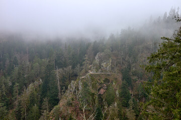SCHWARZWALD - Dramatic foggy mountain landscape with dense evergreen forest and rocky cliffs in the Black Forest Germany, mystical mist-covered wilderness with towering pine trees and rugged terrain