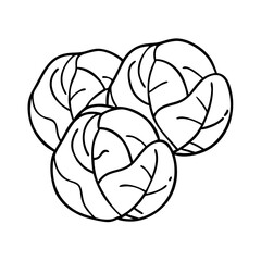brussels sprouts icon, brussels sprouts vector illustration-simple illustration of brussels sprouts, perfect for brussels sprouts logos and icons