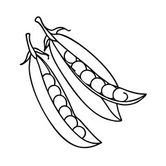 snap peas icon, snap peas vector illustration-simple illustration of snap peas, perfect for snap peas logos and icons