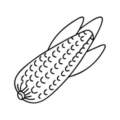 corn on the cob icon, corn on the cob vector illustration-simple illustration of corn on the cob, perfect for corn on the cob logos and icons