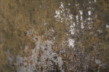 old stone wall