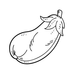 eggplant icon, eggplant vector illustration-simple illustration of eggplant, perfect for eggplant logos and icons