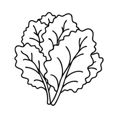 kale icon, kale vector illustration-simple illustration of kale, perfect for kale logos and icons