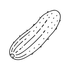 cucumber icon, cucumber vector illustration-simple illustration of cucumber, perfect for cucumber logos and icons